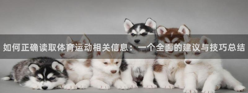 vsport体育官网下载招商电话号码:如何正确读取体育运动相