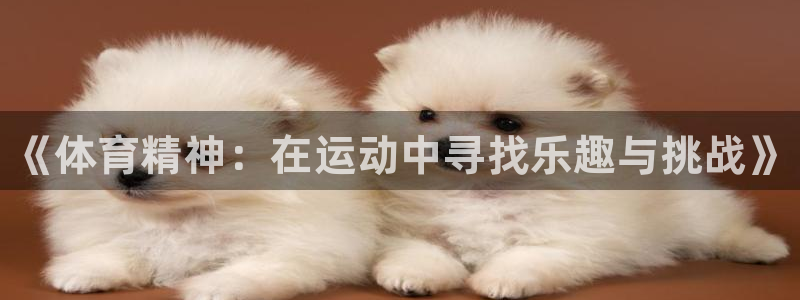 vsport体育官网下载招商电话号码是多少:《体育精神:在运