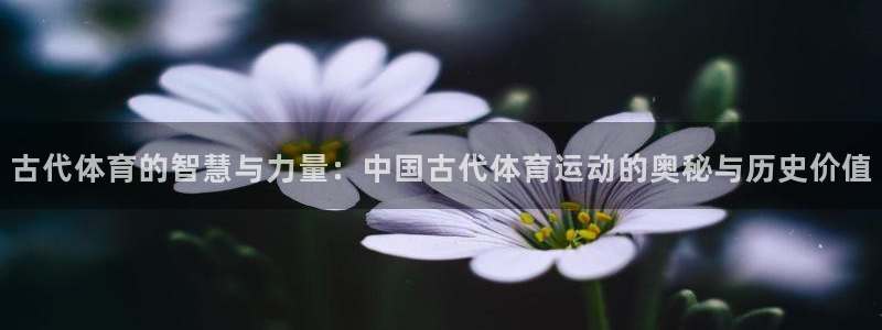 vsport体育官网下载招商电话号码查询:古代体育的智慧与力