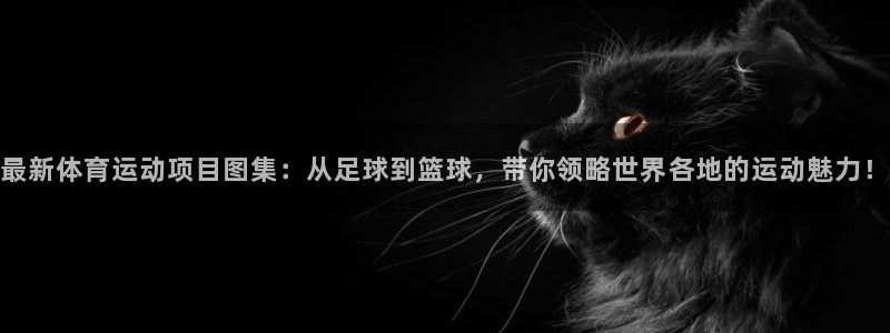 vsport体育官方正版app娱乐平台:最新体育运动项目图集